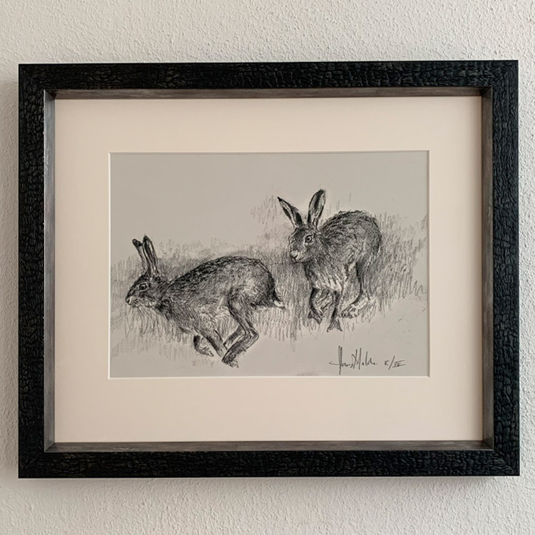 Hazen in houtskool (giclée print)